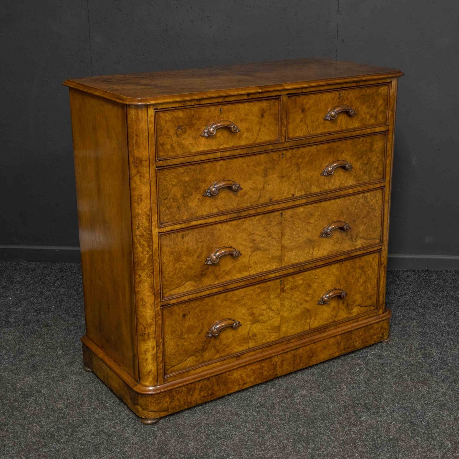 Victorian Burr Walnut Chest - Image 10