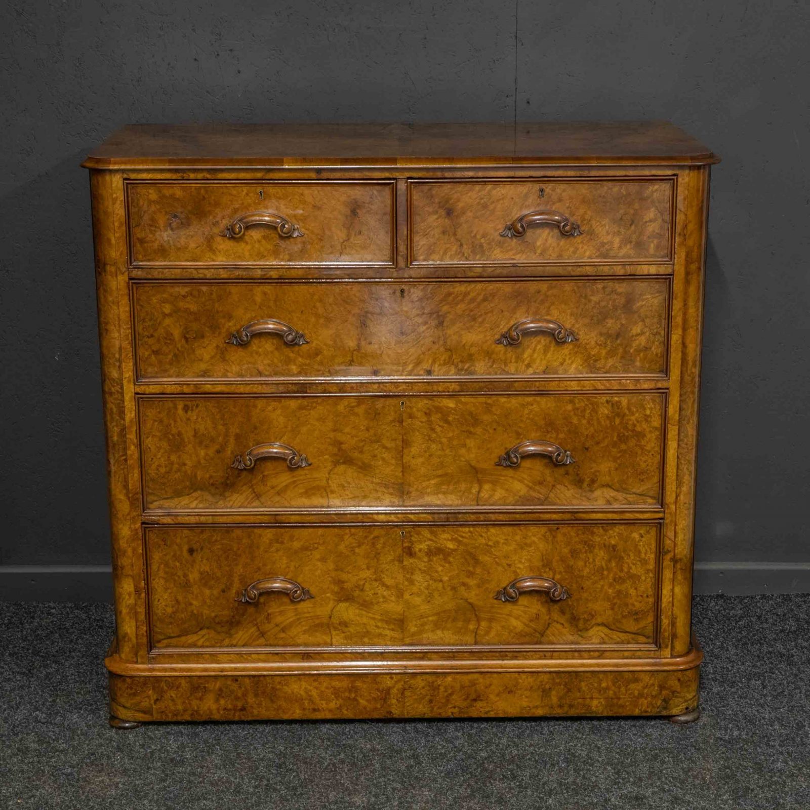 Victorian Burr Walnut Chest - Image 4