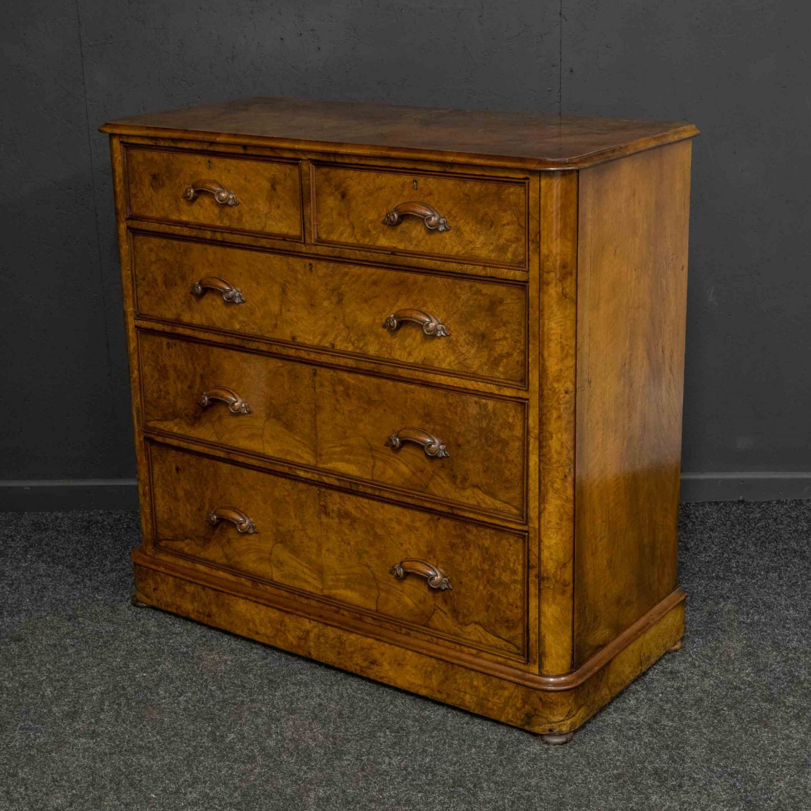 Victorian Burr Walnut Chest - Image 5