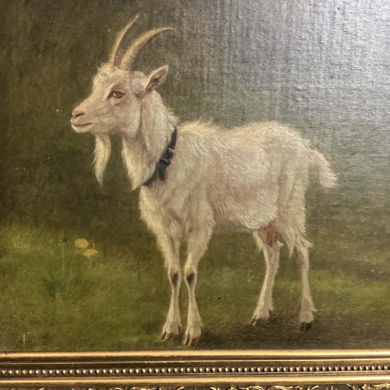 Danish Oil Painting of a Goat.h