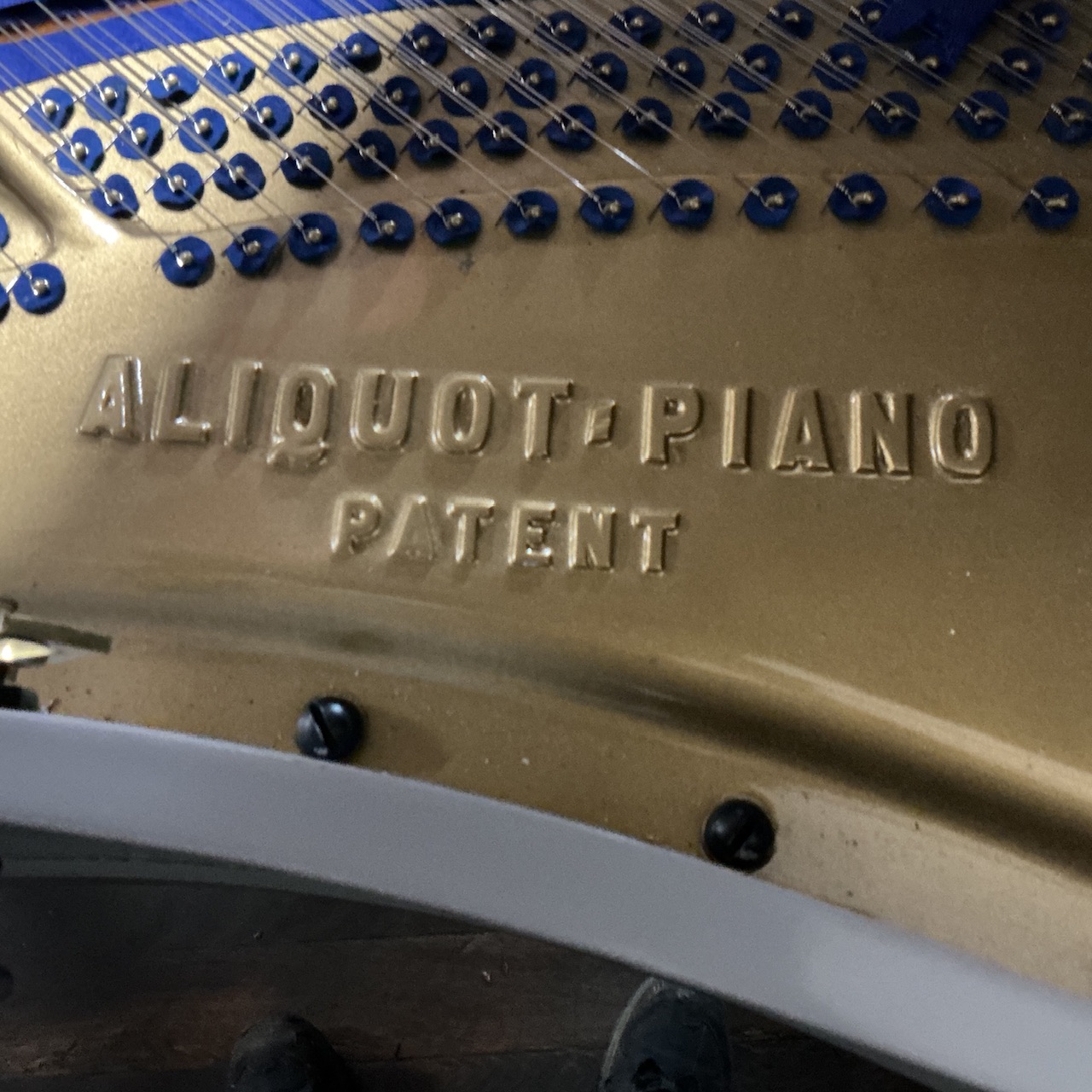 Bluthner Grand Piano - Image 6
